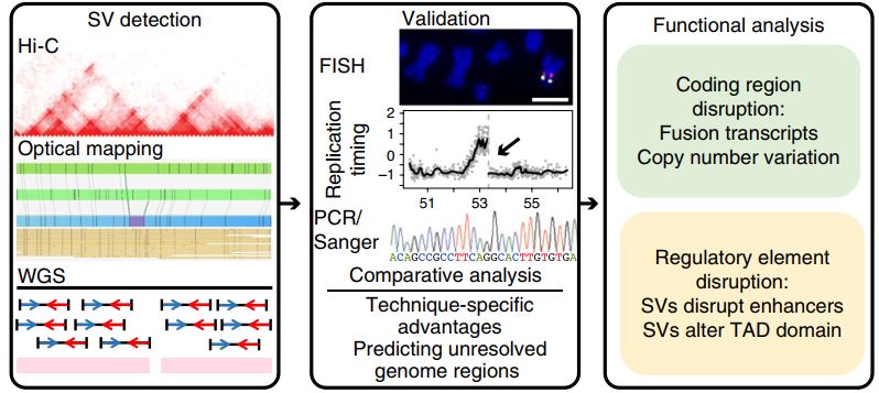 Integrative detection and analysis of structural variation in cancer genomes